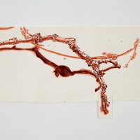 "Branch and Shadow" (2008), shellac-based ink on paper by Dawn Clements.