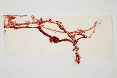 "Branch and Shadow" (2008), shellac-based ink on paper by Dawn Clements.