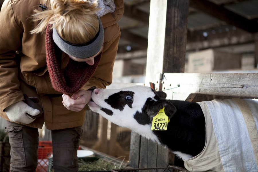 Field Trip to R.E Hemond Farm Inc, 2014