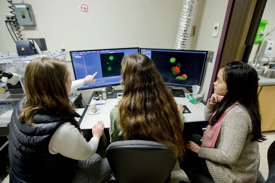 The confocal workstation. The Leica microscope itself is to the left of the monitors. (Phyllis Graber Jensen/Bates College)