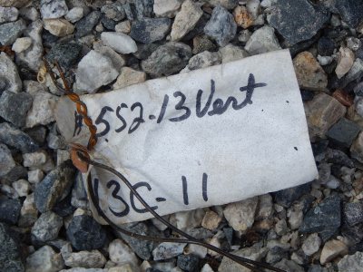 A rigger for Stellar Steel looks for the next piece of the 65 Campus Ave. metal to give to the crane on April 22, 2015. Note the markings on the components that specify where and in what order they will be placed. (Doug Hubley/Bates College)