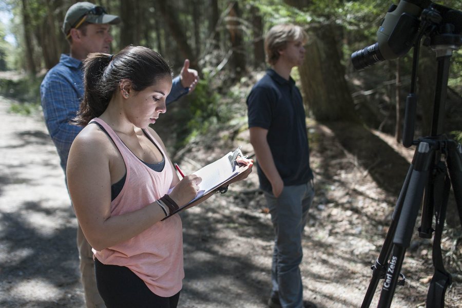 Emma Katz '17 of Holmdel, N.J., records hemlock observations at Bates–Morse Mountain on May 14. (Josh Kuckens/Bates College)