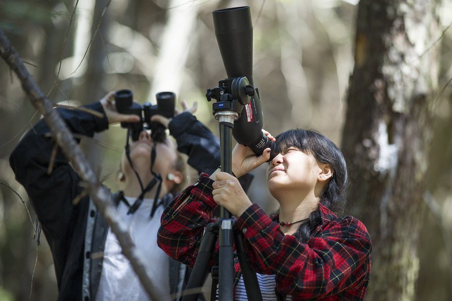 At right, Monata Song '17 of Saratoga Springs, N.Y., observes hemlock trees at Bates–Morse Mountain with Alison Ricciardi '17 of New Vernon, N.J. (Josh Kuckens/Bates College)