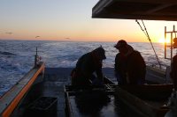 Kate McNally, who photographed the crew of a Grand Manan fishing boat during a research project in 2015, will continue that research in Newfoundland as a Fulbright Student. (Kate McNally '17)