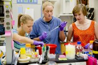 Caroline Holm '17, Alex Krech, a Southern Maine Community College intern, and Anna Berenson '16, work  under the direction of chemistry professor Paula Schlax studying gene expression in the bacteria that causes Lyme disease. (Phyllis Graber Jensen/Bates College)