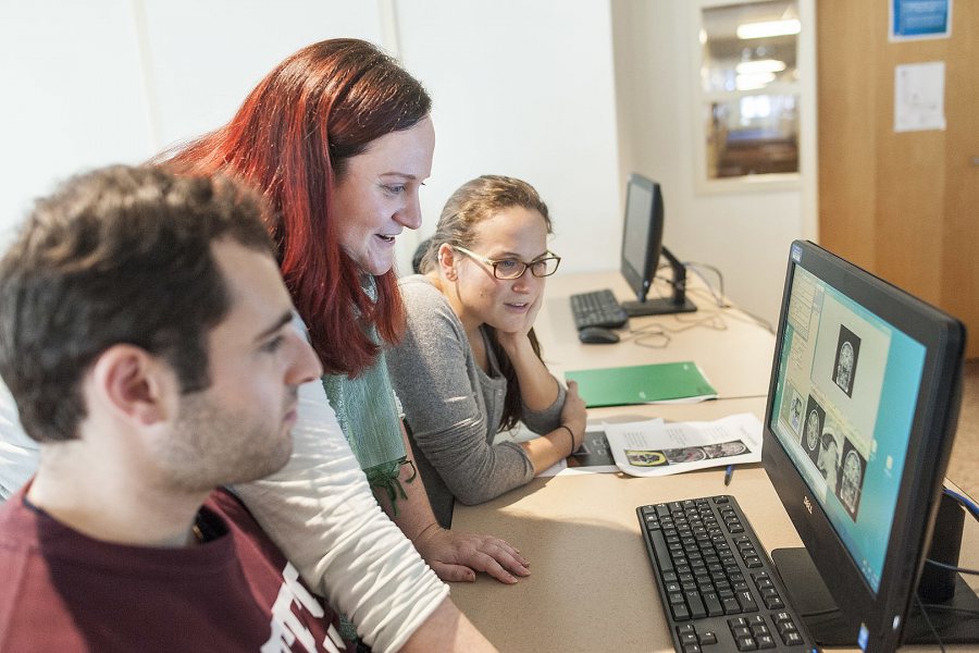 Nancy Koven, Jason DeFelice '17 of Salem, N.H. and Julia Rice '16 of Providence, R.I., analyze brain images in during a class session in cognitive neuroscience course on Sept. 24, 2015. (Josh Kuckens/Bates College)