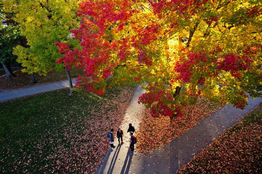 From Hedge Hall's heights, a bird’s eye view of the season: fall colors, long shadows, shorter days, and deep conversations. (Phyllis Graber Jensen/Bates College)