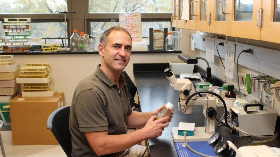 Craig Woodard ’86 is a professor of biological sciences at Mount Holyoke College. He was inspired by his thesis adviser, Professor Emeritus of Biology Joe Pelliccia. (Mount Holyoke College photograph)