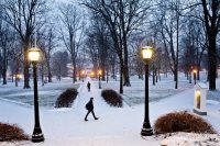 Please let it snow... Prayer answered. (Phyllis Graber Jensen/Bates College) 