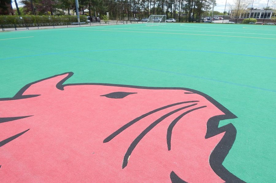 The current Bobcat emblem on the new GreenFields TX turf will replace this outmoded likeness on the Campus Avenue Field. (Doug Hubley/Bates College)
