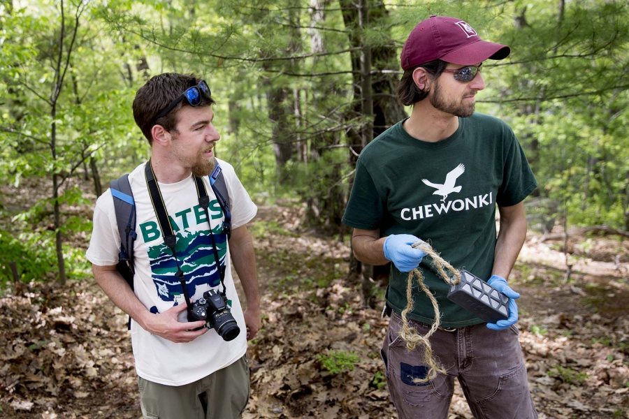 Project leader Dana Cohen-Kaplan '16 (left) and Bates sustainability manager Tom Twist confer during the EcoService Day project on Mount David on May 21. (Phyllis Graber Jensen/Bates College)