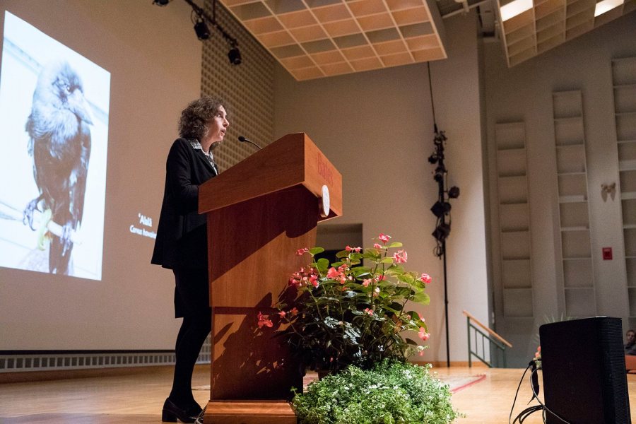 Science journalist and New Yorker staff writer Elizabeth Kolbert delivers the 2016 Otis Lecture in the Olin Arts Center on Monday evening, Oct. 24 2016. (Josh Kuckens/Bates College)