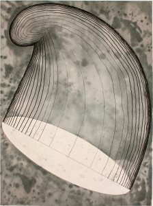 "Phrygian Cap in the Air" is a 2012 etching with drypoint and chine-collé by Martin Puryear.