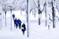 A five-snowstorm week at Bates? Snow problem! Just take a look