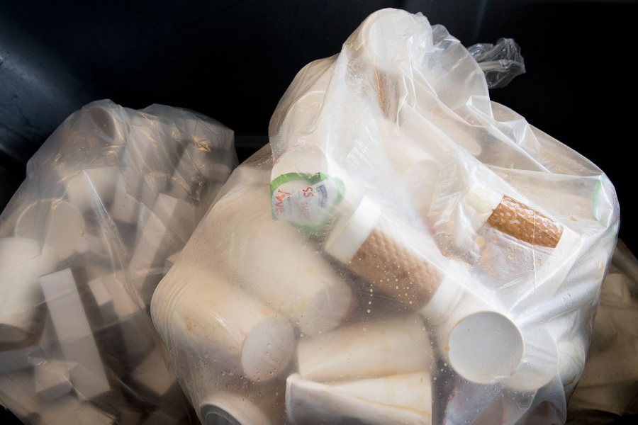 Now a dominant part of trash that Commons sends to the landfill, paper cups are about to vanish from Bates' dining hall. (Phyllis Graber Jensen/Bates College)