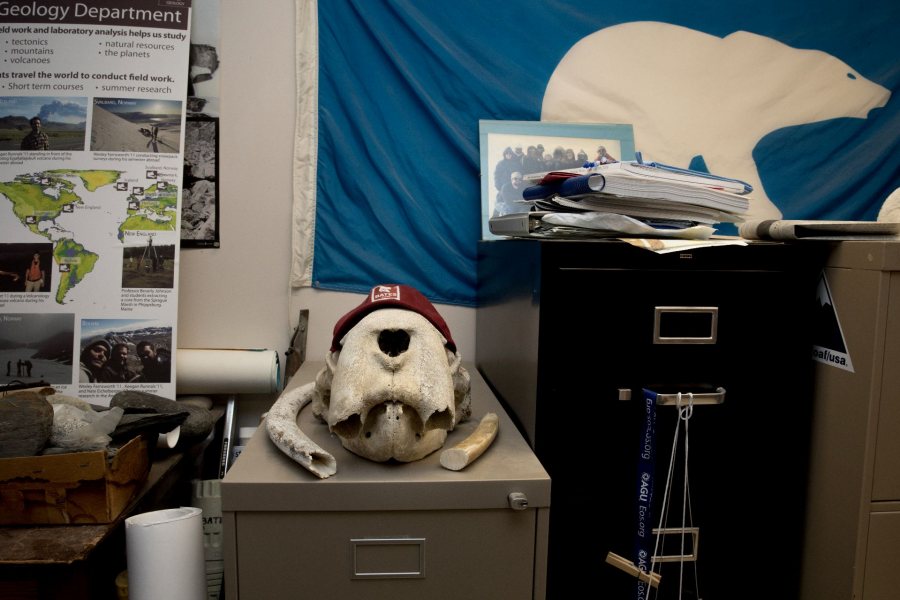 Professor of Geology Mike Retelle found the walrus skull while doing research in the Canadian High Arctic in 1993. (Phyllis Graber Jensen/Bates College)