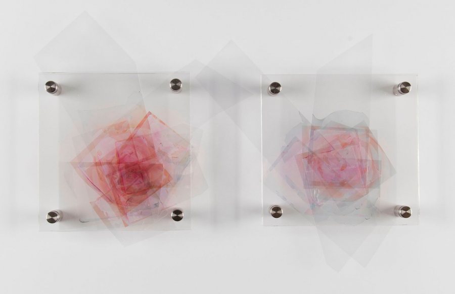 "Rosaceae," a 2017 piece by Ashley Pollack, is a diptych made from inkjet prints on transparency film, acrylic sheets, and stainless steel standoffs.