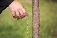 Bates’ memorial tree planting embraces the ‘sacred tension’ of gratitude and grief