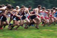 The annual Bates Fund total includes $810,000 through the Friends of Bates Athletics. The men's cross country team competes at Pineland Farms in New Gloucester last September. (Theophil Syslo/Bates College)