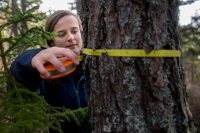 Curtis ’17 in key role as Bates joins Maine ecosystem project