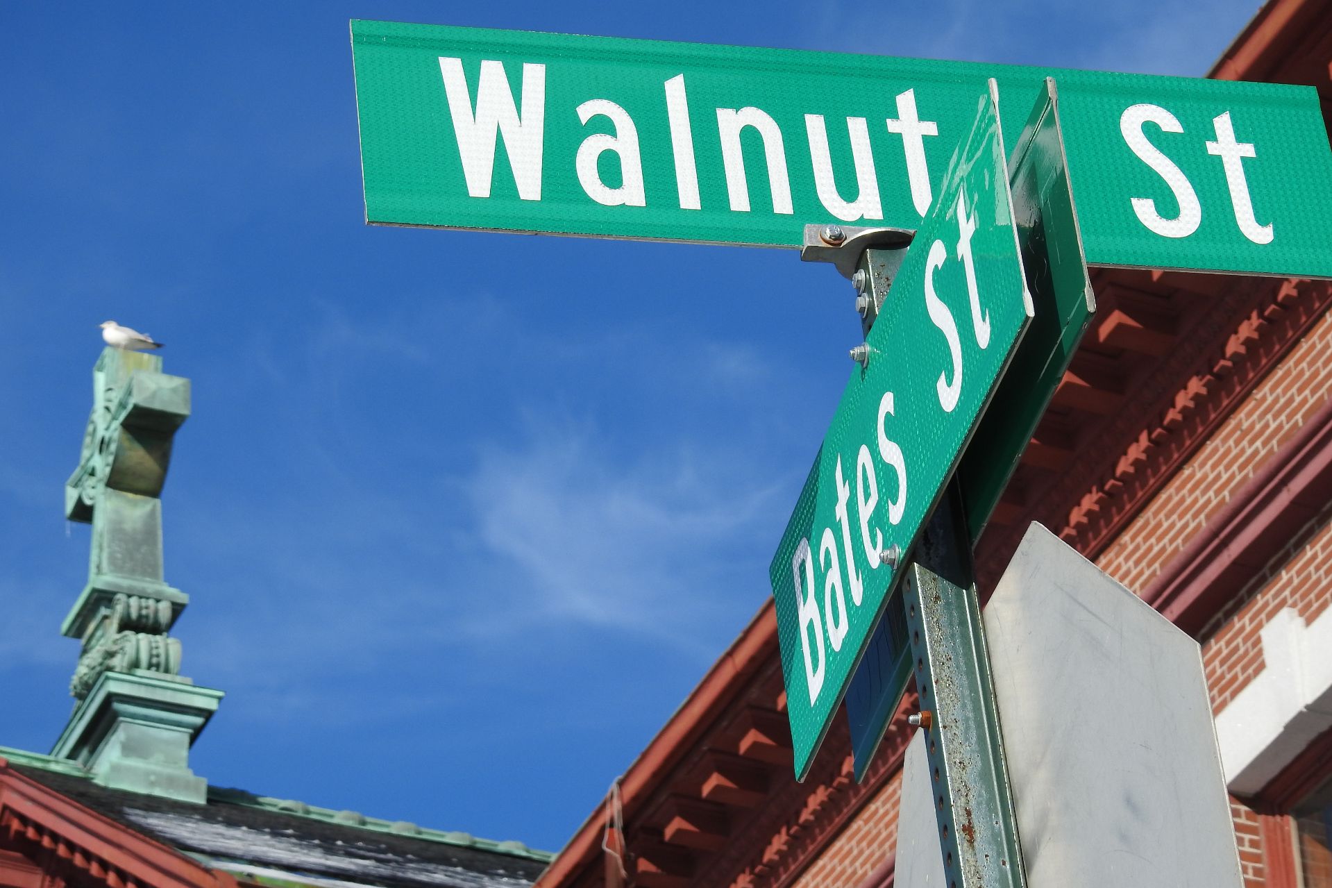 What’s in a Name Tree Streets News Bates College