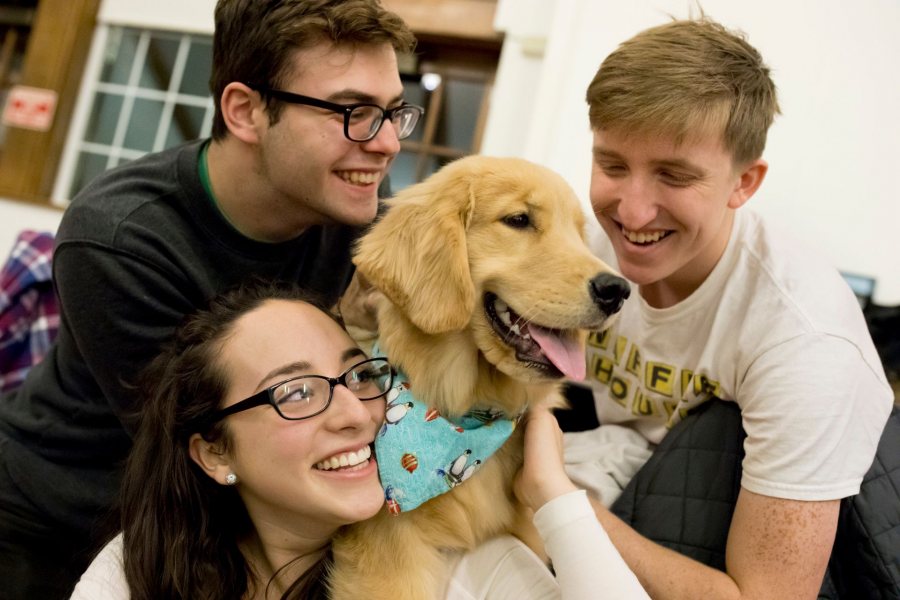 First-years Andrew Lyle, Nina Flynn, and Ben Schmandt take a study break in Memorial Commons with Arya, a 7-month-old golden retriever. The Office of Campus Life sponsored the finals-week playtime; the pups came from the Maine Golden Retriever Club. (Phyllis Graber Jensen/Bates College)