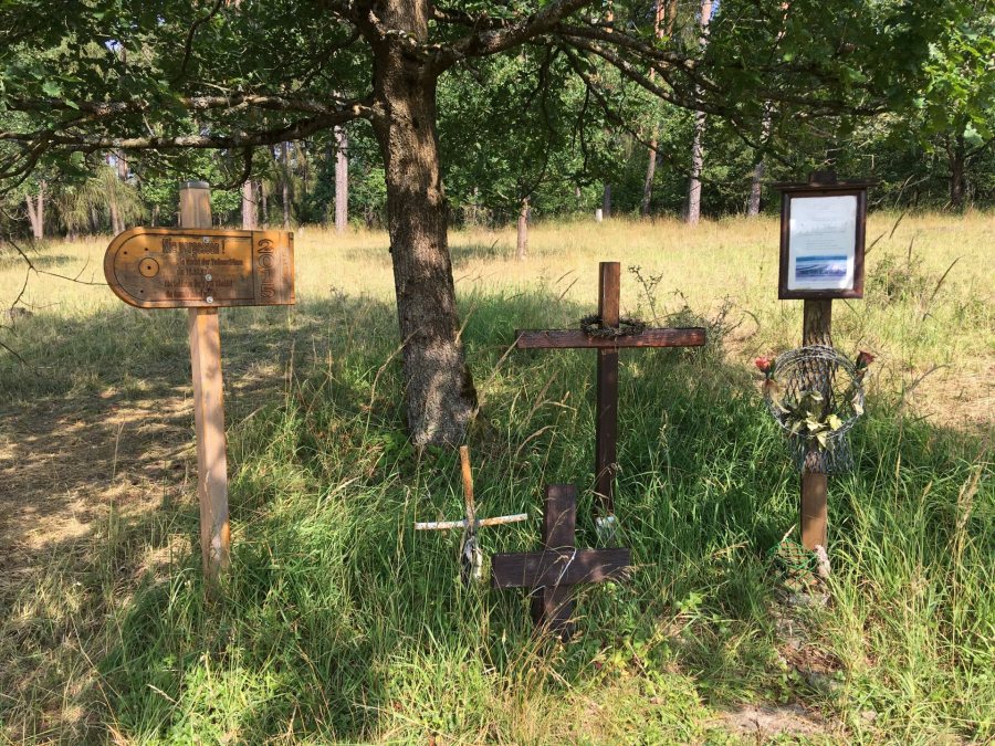 Many Germans believe a nature preserve is an appropriate way to memorialize those who died trying to cross the inner German border; others want any trace of a border removed. (Courtesy of Sonja Pieck)