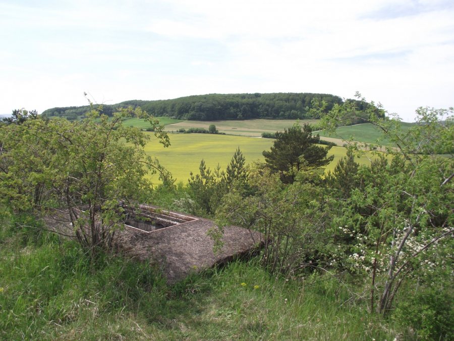 When Associate Professor of Environmental Studies Sonja Pieck visited the Green Belt, she saw remnants of the old militarized border, such as this sniper hideout. (Courtesy of Sonja Pieck)