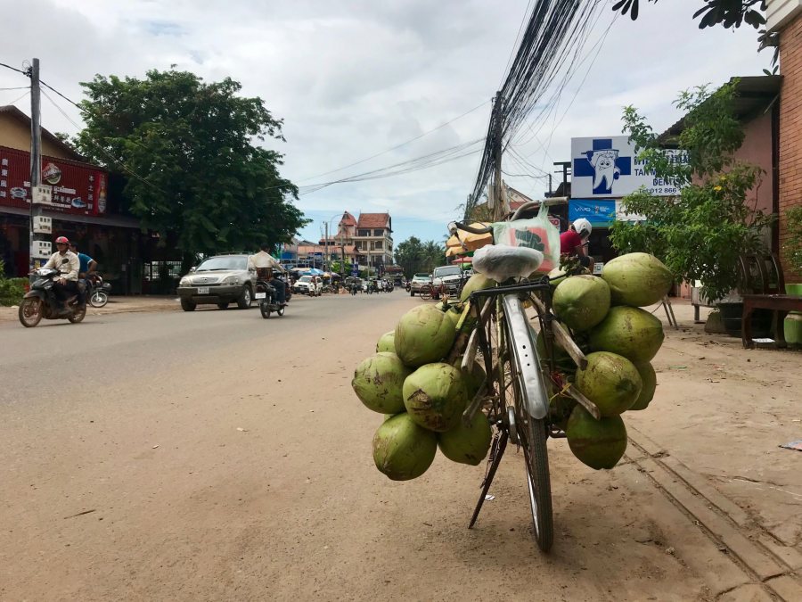 O’Shea, Maggie SFS Cambodia Fall 2018 This is a photograph from the streets of Siem Reap (our home base!) in which someone left their coconut-filled bike parked outside a storefront. This photo was selected for the 2019 Barlow Off-Campus Photography Exhibition and shown at the 2019 Mount David Summit on March 29, 2019.