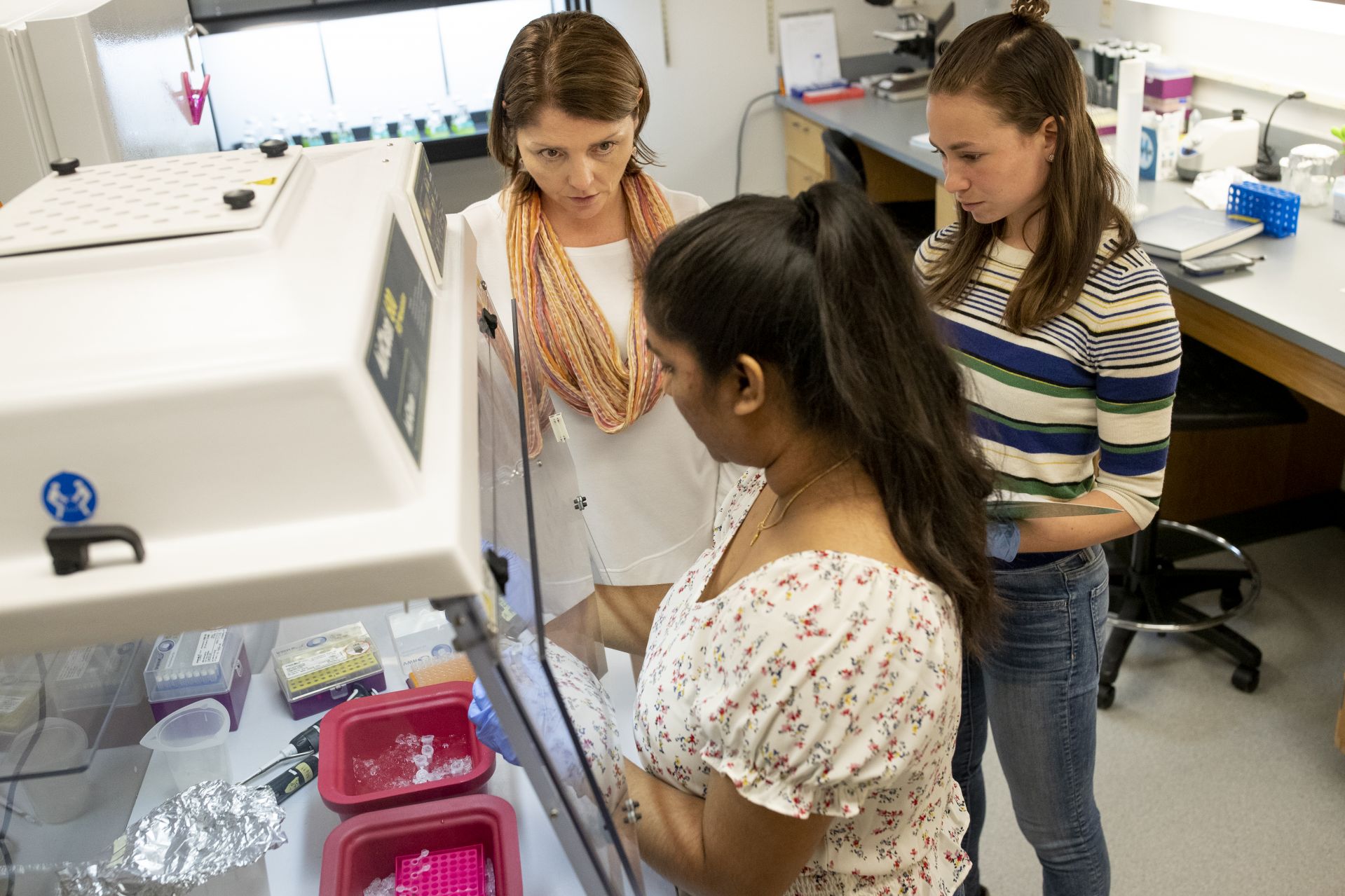 Professor of Biology April Hill in her Carnegie Science Lab, Room 404, training two "new scientists." “For me, it’s like being a coach," she says. Names forthcoming.The two students in the lab with Hill are Sara King ’21 of Newton Center, Mass., and Jasmine Nutakki ’21 of Augusta, Maine. Hill says: “They were learning to use a technique called the polymerase chain reaction (PCR) to amplify genes from freshwater sponges. Both students (and some others) will be working over short term on a project funded by my NSF grant to study the gene networks involved in animal:algal symbioses. In this case, the animals are sponges and the algae are Chlorella.” 