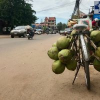 O’Shea, Maggie SFS Cambodia Fall 2018 This is a photograph from the streets of Siem Reap (our home base!) in which someone left their coconut-filled bike parked outside a storefront.This photo was selected for the 2019 Barlow Off-Campus Photography Exhibition and shown at the 2019 Mount David Summit on March 29, 2019.