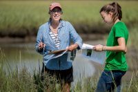 Professor of Geology Beverly Johnson uses a sediment elevation table to measure the height of the Sprague River Salt Marsh, part of the Bates–Morse Mountain Conservation Area..These data are used to measure the response of the marsh to rising sea level and storm activity, Johnson says. Four years ago, she and her Short Term geology students traveled to the Sprague, where they placed rods deep in the marsh as benchmarks to measure future changes.Show with Laura Sewall (in garnet baseball cap), Harward Center for Community Partnerships, Director of Bates Morse Mountain Conservation Area, and Vanessa Paolella '21 of Dingmen's Ferry, Pa., who has been working with Johnson on geology research over the summer.Also present: Clailre Enterline (in green shirt and blue baseball cap), Research Coordinator with the Maine Coastal Program. And (not in selects but wearing a blue baseball cap and blue shirt) Ellen Bartow-Gieelie, Coastal Fellow with the Maine Coastal Program.