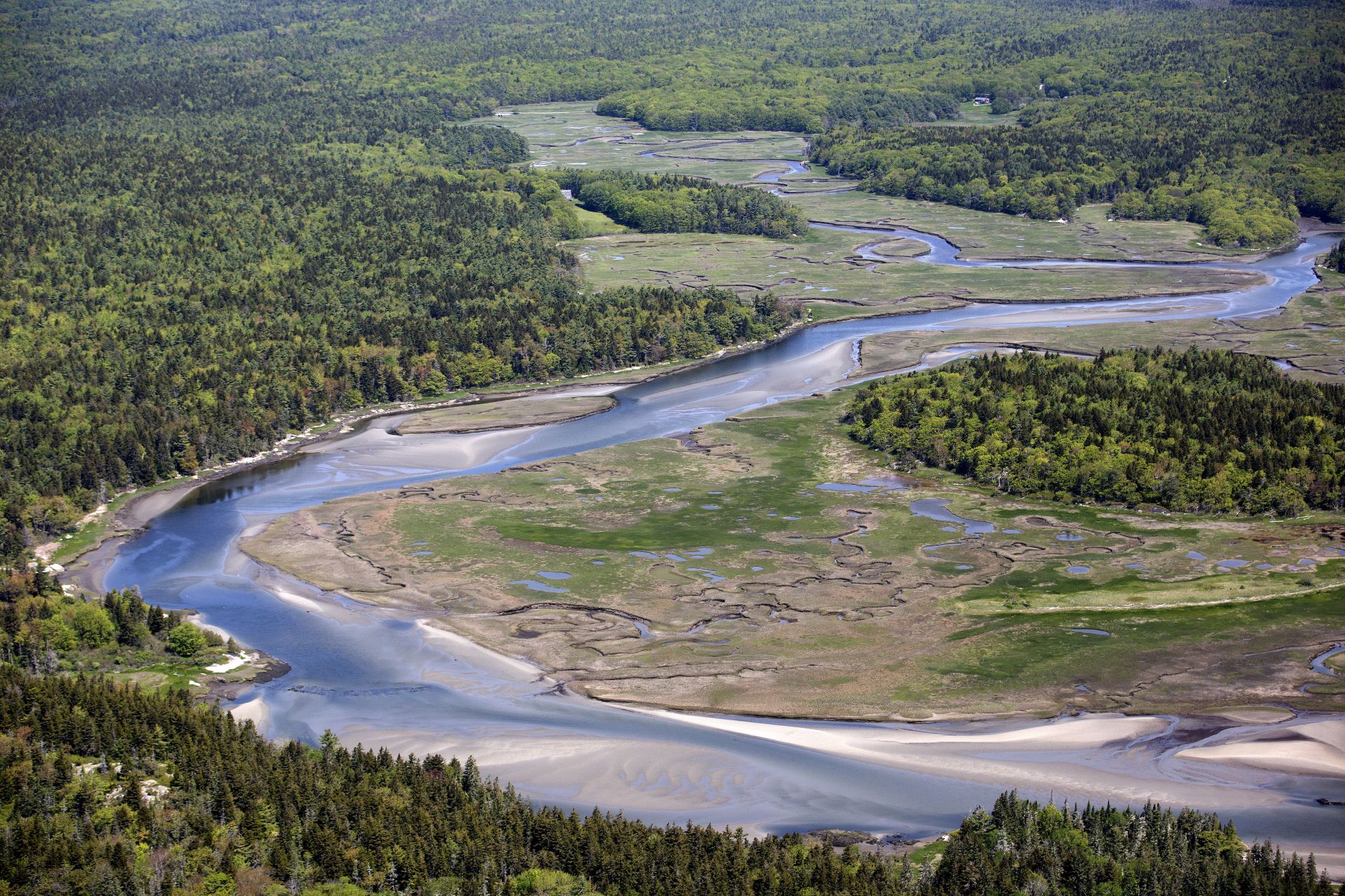 Aerial photograph of Bates-Morse Mountain Conservation Area on June 9.(Photographs by Brittney Lohmiller)