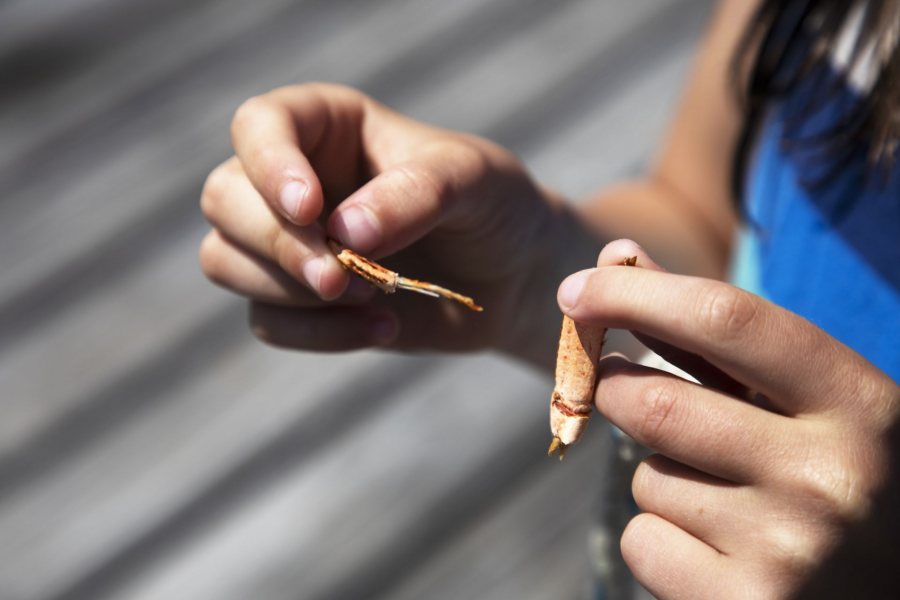 Tessa Wing, Kate's daughter, examines a lobster leg that she found on the pier. (Theophil Syslo/Bates College)