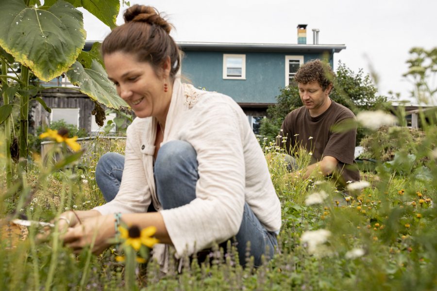 Lecturer in Environmental Studies Ethan Miller '00 at Wild Mountain Cooperative at 217 South Mountain Road in Greene where his wife Kate, and their son, Loren, 6, who live cooperatively with a group of people, including short term residents Katharine Gaillard ’19 and Kyra Bleicher '19, both with Bates Garden experience, who are apprenticing with Kate in the herb garden, aka the community apothecary. With medicinal plants.Pictures include the group harvesting medicinal herbs (including Spilanthes), picking apples, peaches and grapes (Clementine and Somerset Seedless), and working on building a tree house in the woods. Loren has just learned to ride a bicycle (he taught himself) Says Bleicher: It's a great place to be inspired by dreams and schemes of the people here and to create your own in the midst of it." Wild Mountain Cooperative is a multifaceted collective effort: we are a cooperatively-run subsistence and medicine farm, a gathering place for transformative teaching and learning, a wildlands sanctuary, and a small cooperative living community. We are situated in Greene, Maine, within a 300 acre wildland preserve that embraces the entire watershed of a 40 acre lake called Berry Pond.