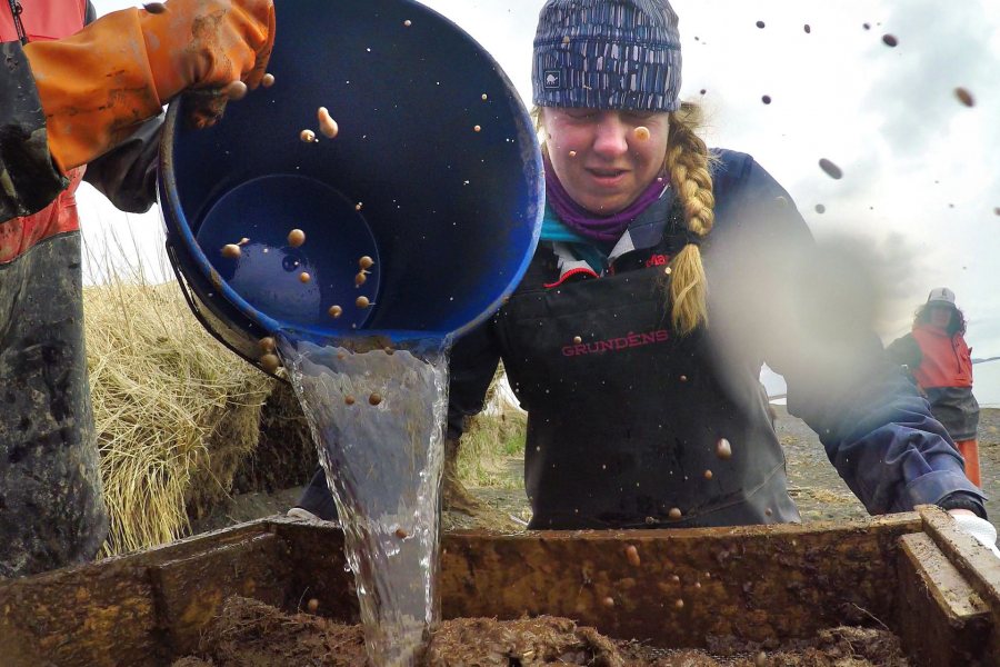 During the screening process, Maya McDonough ’22 winces and mud splashes as Jinzhi Wei ’20 pours water onto excavated soil. (Tim Leach '99 for Bates College)