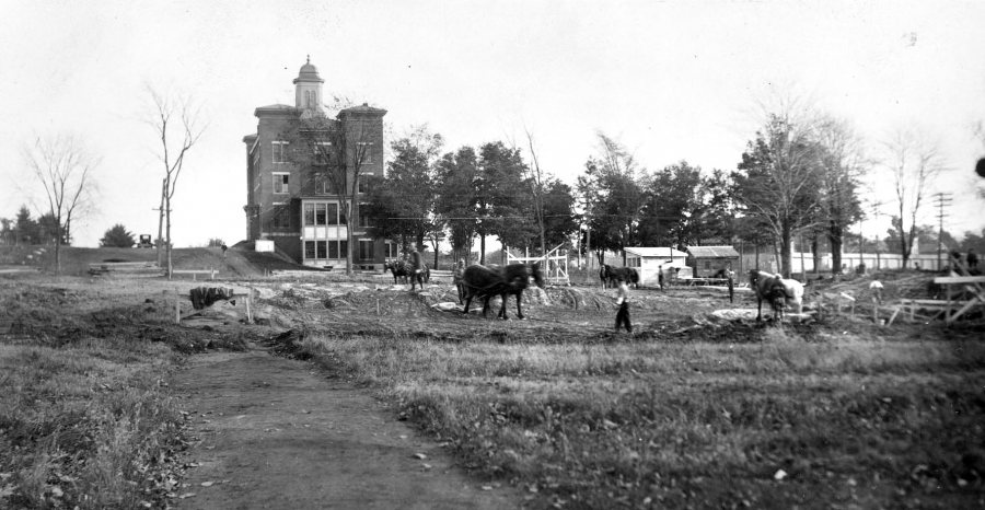 Foundation preparation for the Gray Athletic Building in 1925 required removing marine clay layer. Back then, it was done by horses pulling so-called Fresno scrapers. (Muskie Archives and Special Collections Library)