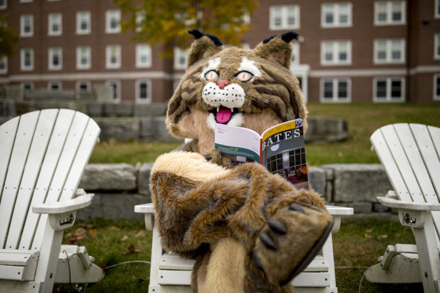 The Bates Bobcat swings through campus during the height of fall foliage.