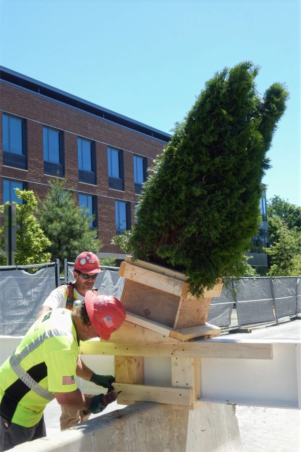 From left, Consigli carpenter Chad Chalmers and job site foreman Shannon Kenney attach the ceremonial evergreen to the topping-off beam. (Doug Hubley/Bates College)