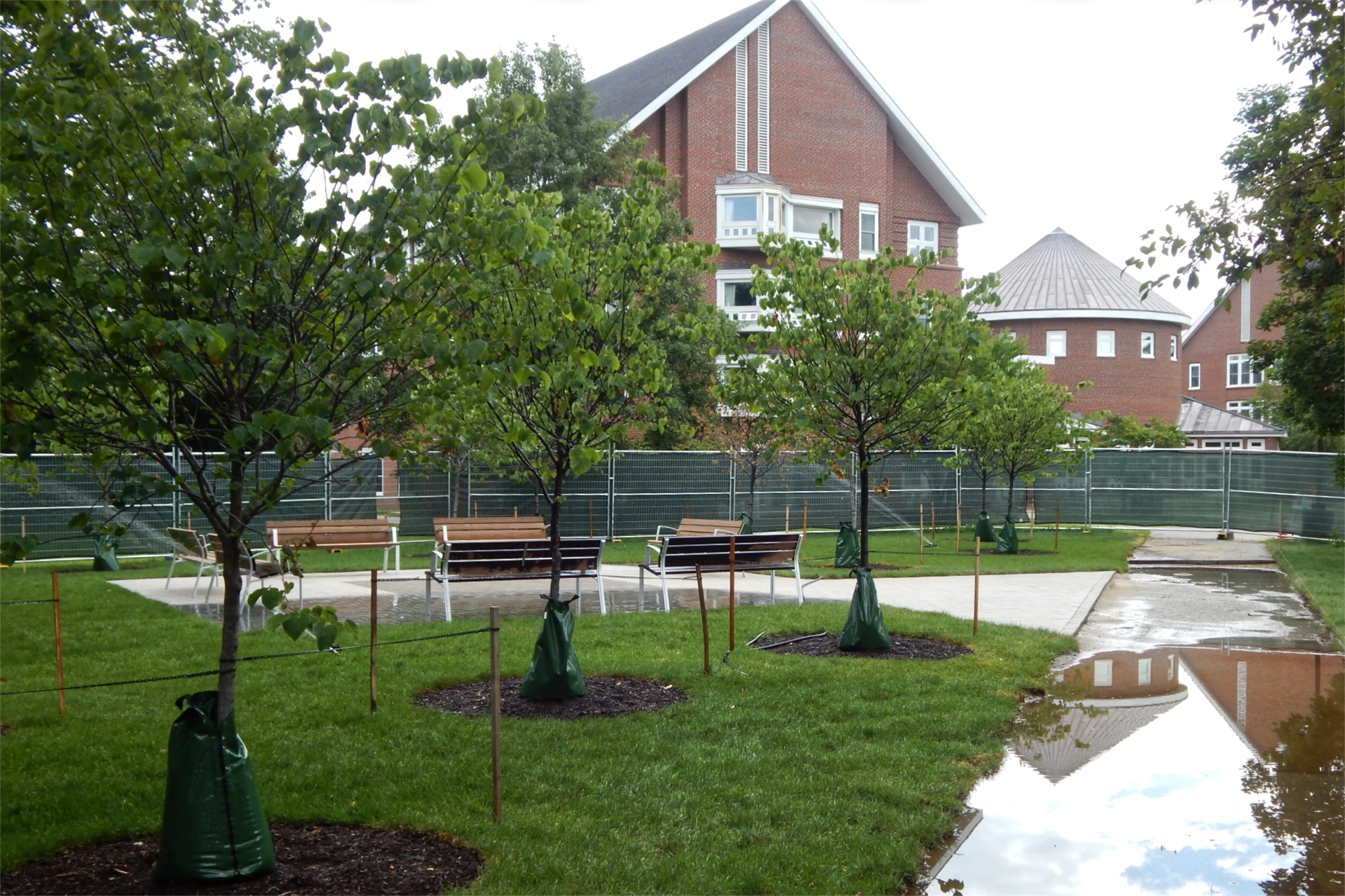 The Residential Village is reflected in  a puddle made by sprinklers at Veterans Plaza. (Doug Hubley/Bates College)