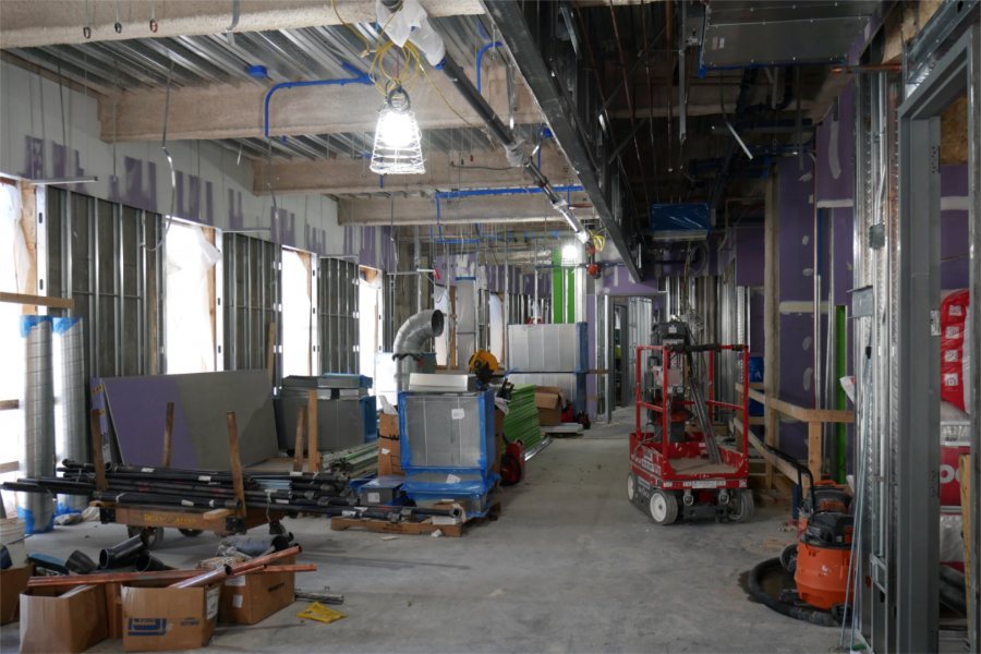 Biology professor Larissa Williams' research lab, on the science center's second floor. (Doug Hubley for Bates College)