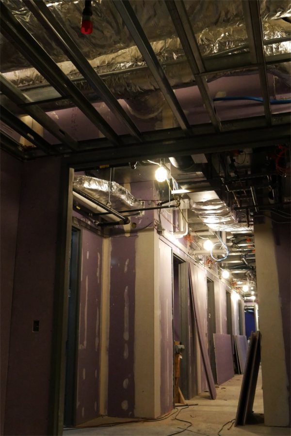 The Bonney center basement is home to the vivarium, a section of which appears here. (Doug Hubley/Bates College)