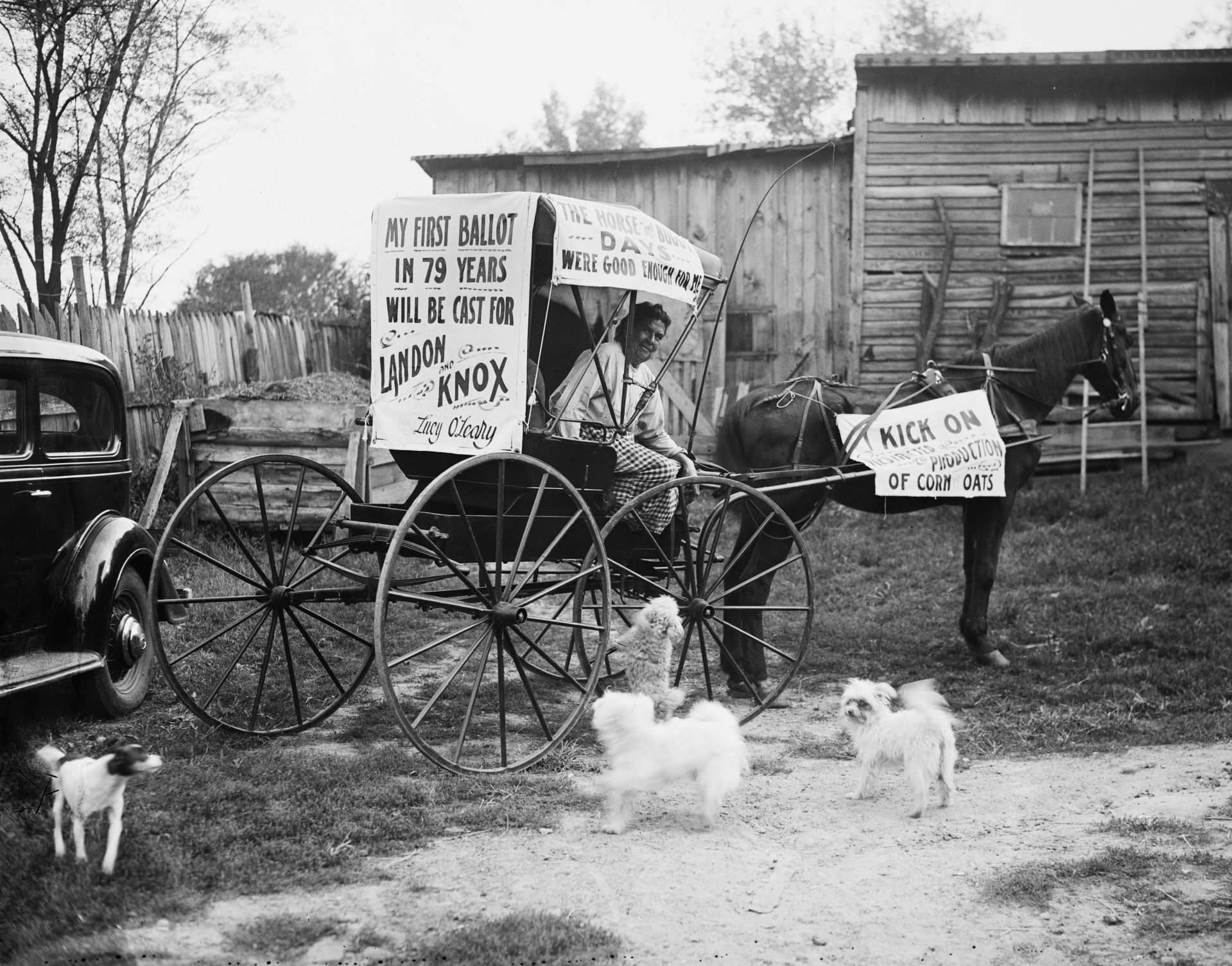 HEC/33900/33957a.tif

Votes for first time at 79. Arlington, VA, Oct. 15. This is Mrs. O'Leary (not the Mrs. O'Leary who kissed the cow who kicked over the lantern to start the Chicago fire) but Mrs. Lucy O'Leary of this town who will cast her first vote on November 3 at age 79, for Gov. Landon. She now lives on small government pension with the aid of a small garden

Votes for first time at 79. Arlington, VA, Oct. 15. This is Mrs. O'Leary (not the Mrs. O'Leary who kissed the cow who kicked over the lantern to start the Chicago fire) but Mrs. Lucy O'Leary of this town who will cast her first vote on November 3 at age 79, for Gov. Landon. She now lives on small government pension with the aid of a small garden