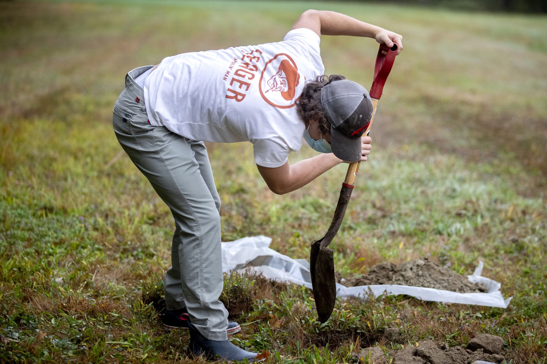 Zoe Knauss '23 of Buffalo, N.Y.,  who will declare as an ES major, and ES major Sam Gilman '22 of Mendham, N.J., , dig for soil in a field.


Prof of Environmental Studies and Christian A. Johnson Prof of Interdisc Studies Holly Ewing and Lecturer in Environmental Studies & Learning Associate in Environmental Studies Camille Parrish take students in the Soils/Lab course for a field trip to Pettengill Farm in Freeport, Maine. A nineteenth century salt-water farm on the estuary of the Harraseeket River, the farm is owned by Freeport Historical Society(FHS). It includes a saltbox house (ca. 1800) on 140 acres of fields, woods, antique apple orchards and salt marsh. Most interesting are the etchings (sgraffitti) found on the plaster walls in the upper chambers of ships, sea monsters, longboats and animals. The farmhouse remains without plumbing, central heat and electricity and is listed in the National Register of Historic Places. Mildred Pettengill was its last resident and lived in the house until 1970.

The students are digging up soil and making observations (soil profiles) before putting it back where it came from.

ENVR 310 - Soils/Lab
Depending on one's point of view, soils are geological units, ecosystems, the foundation of plant life, a place for microbes to live, building material, or just dirt. This course takes a scientific perspective and explores the genesis of soils, their distribution and characteristics, and their interaction with plants. Field studies emphasize description of soils, inferences about soil formation, and placement within a landscape context. Labs investigate the chemistry of soils and their role in forestry and agriculture.