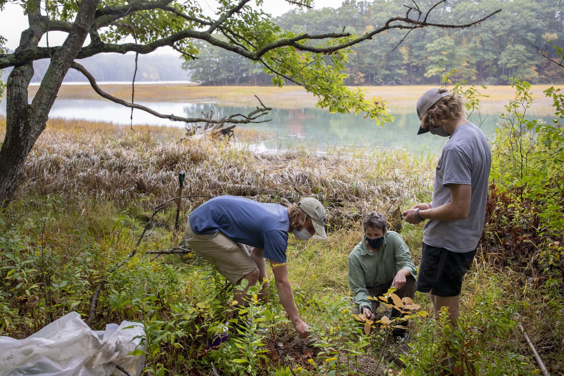 ES majors Jake Lawler '21 of Chesire, Conn., (in blue shirt)  and Hayden Evans '22 of Seattle, Wash., dig for soil profiles on the marsh side of the farm with Holly Ewing.
  
Prof of Environmental Studies and Christian A. Johnson Prof of Interdisc Studies Holly Ewing and Lecturer in Environmental Studies & Learning Associate in Environmental Studies Camille Parrish take students in the Soils/Lab course for a field trip to Pettengill Farm in Freeport, Maine. A nineteenth century salt-water farm on the estuary of the Harraseeket River, the farm is owned by Freeport Historical Society(FHS). It includes a saltbox house (ca. 1800) on 140 acres of fields, woods, antique apple orchards and salt marsh. Most interesting are the etchings (sgraffitti) found on the plaster walls in the upper chambers of ships, sea monsters, longboats and animals. The farmhouse remains without plumbing, central heat and electricity and is listed in the National Register of Historic Places. Mildred Pettengill was its last resident and lived in the house until 1970.

The students are digging up soil and making observations (soil profiles) before putting it back where it came from.

ENVR 310 - Soils/Lab
Depending on one's point of view, soils are geological units, ecosystems, the foundation of plant life, a place for microbes to live, building material, or just dirt. This course takes a scientific perspective and explores the genesis of soils, their distribution and characteristics, and their interaction with plants. Field studies emphasize description of soils, inferences about soil formation, and placement within a landscape context. Labs investigate the chemistry of soils and their role in forestry and agriculture.