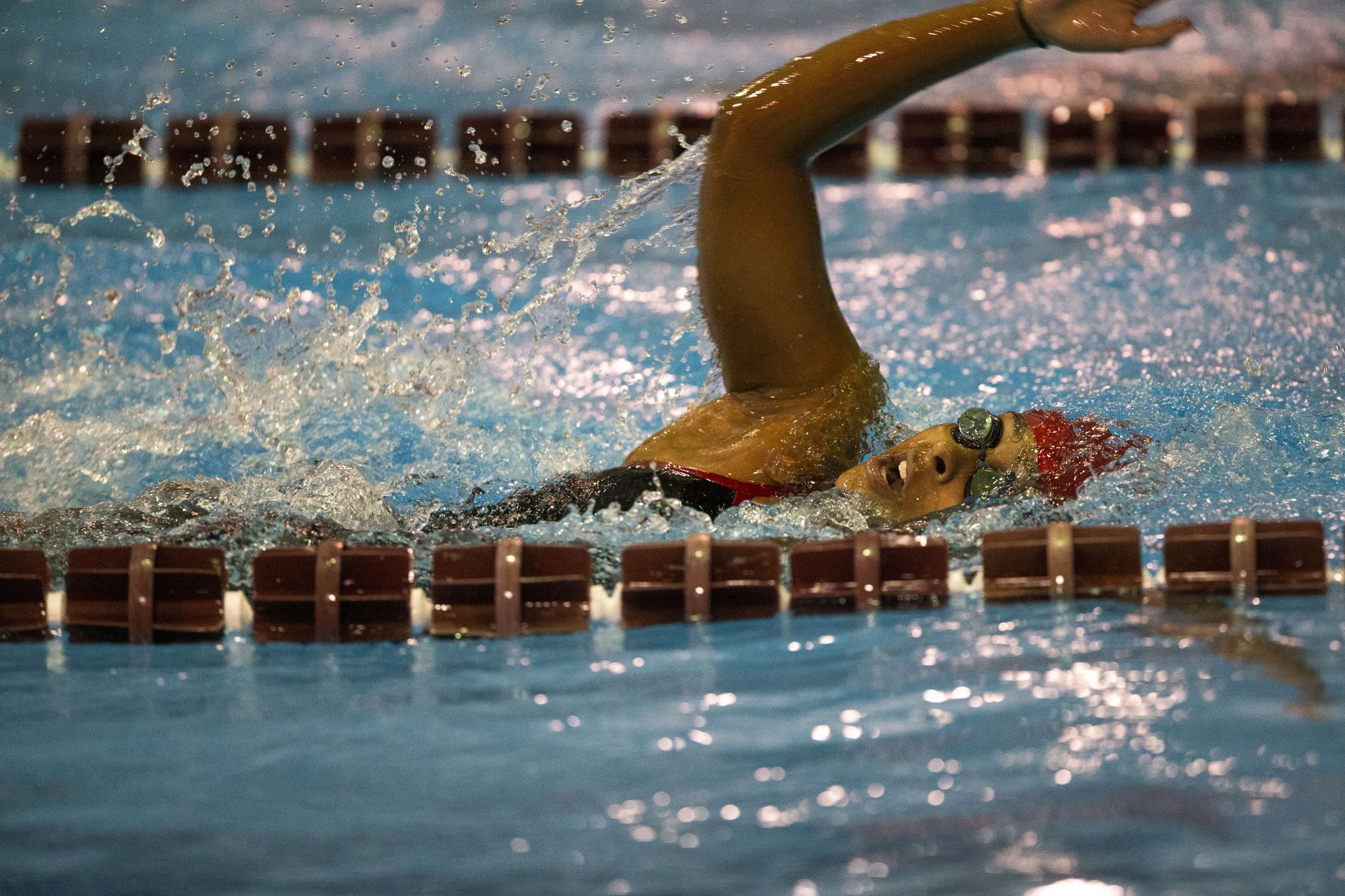 Bates Swimming and Diving hosts Middlebury on January 12, 2020.