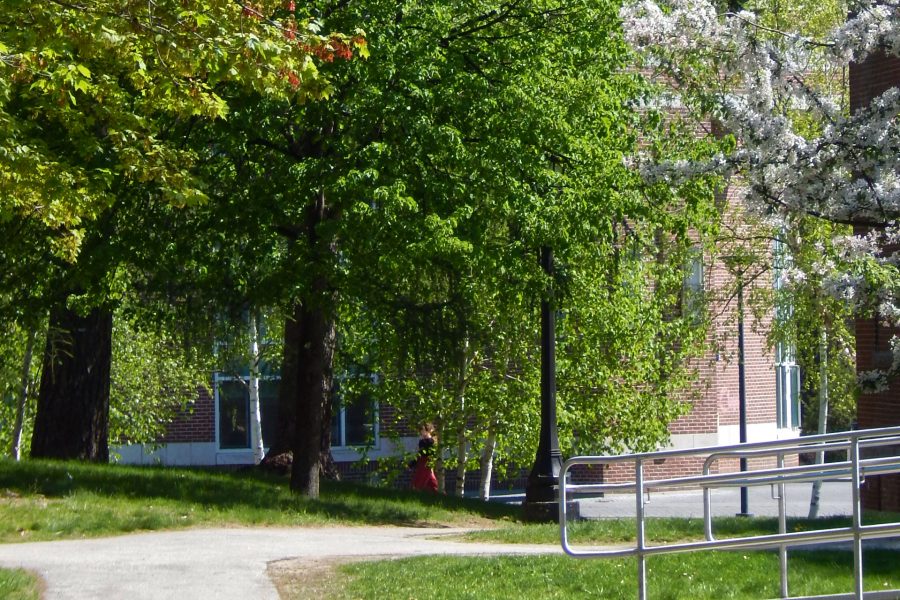 The familiar path from the Historic Quad toward Pettengill Hall, in the background, will be closed for a year as Dana Chemistry Hall (outside the frame at left) is renovated. (Doug Hubley/Bates College)