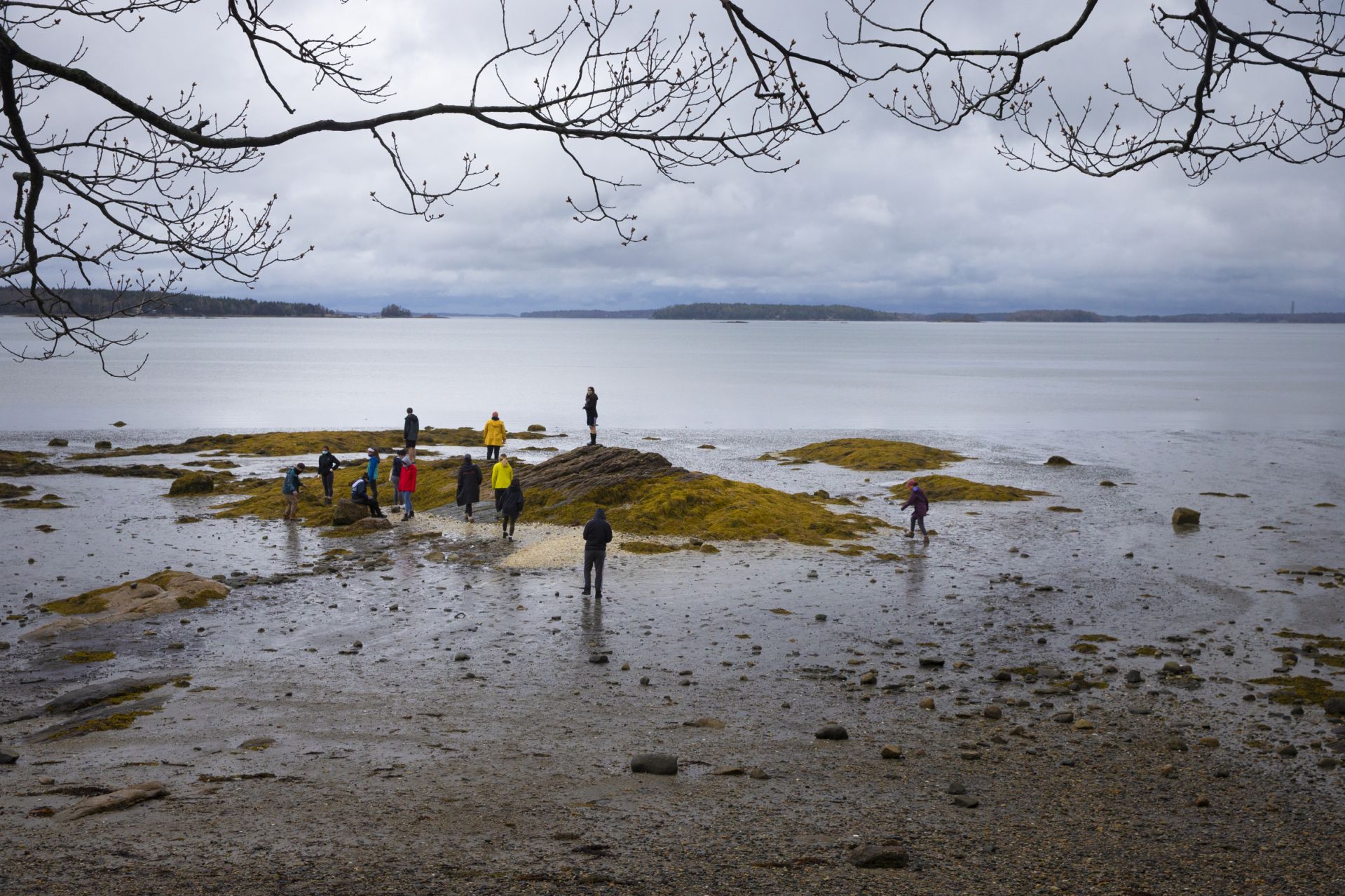 After their work at the barn, everyone decamped to the Wolfe’s Neck shoreline to take in views of Casco Bay and its islands. (Phyllis Graber Jensen/Bates College)