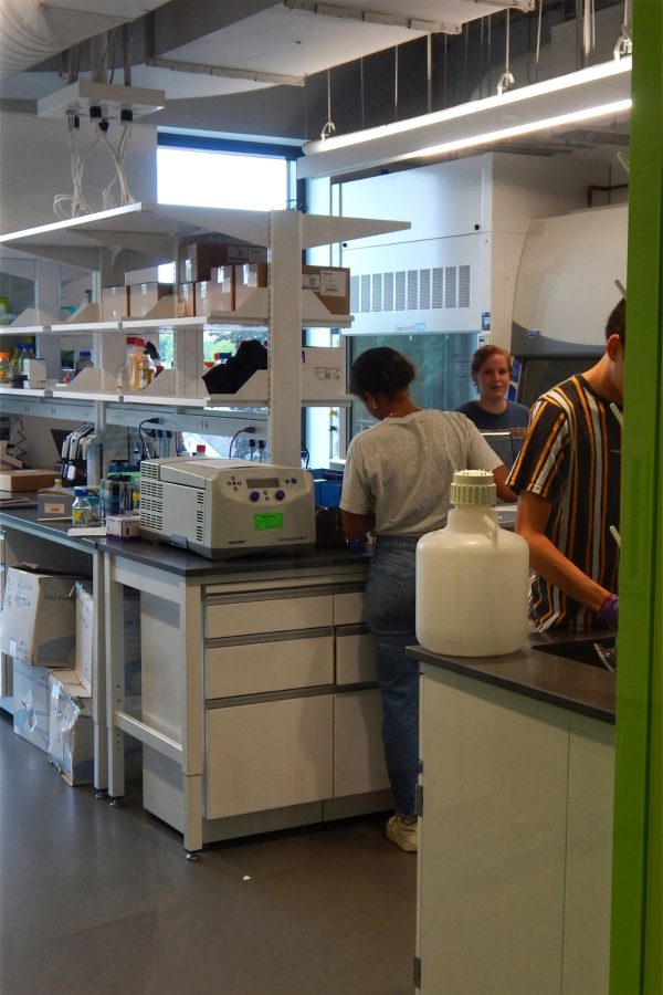 Summer research students put away supplies and equipment in a second-floor lab on June 28. (Doug Hubley/Bates College)