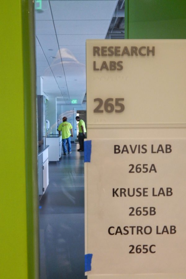 Biologist Ryan Bavis, biologist-neuroscientist Martin Kruse, and neuroscientist Jason Castro share this second-floor lab. (Doug Hubley/Bates College)